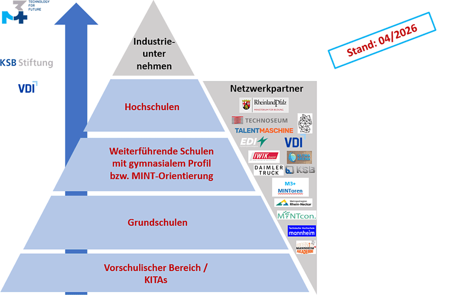 Rollen im verstetigten M3+ Netzwerk